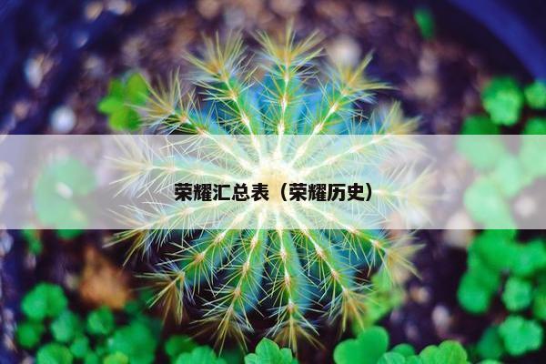 荣耀汇总表（荣耀历史）