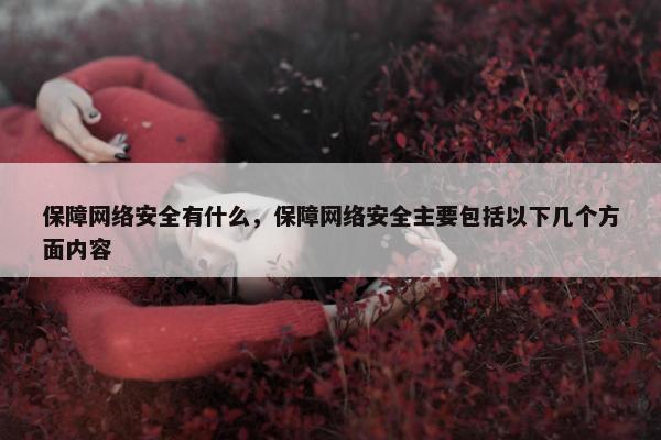 保障网络安全有什么，保障网络安全主要包括以下几个方面内容