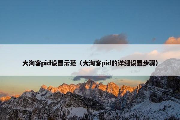 大淘客pid设置示范（大淘客pid的详细设置步骤）