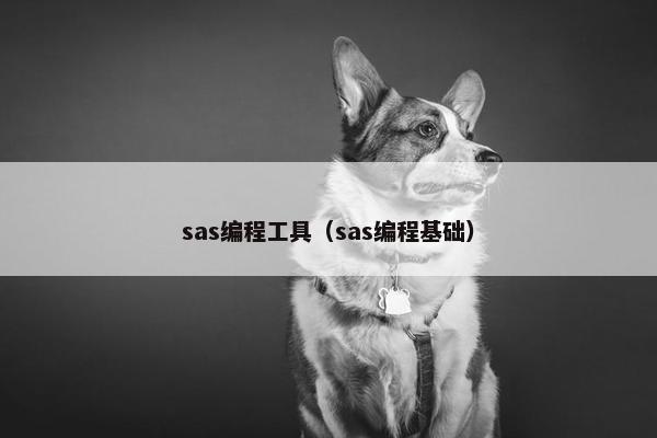 sas编程工具（sas编程基础）