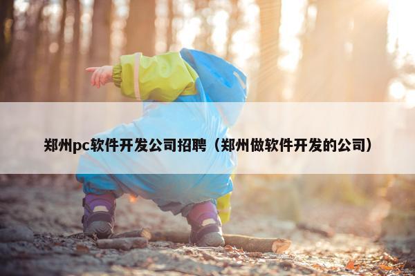 郑州pc软件开发公司招聘（郑州做软件开发的公司）