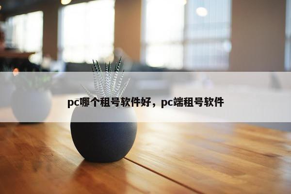 pc哪个租号软件好，pc端租号软件