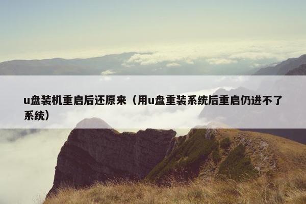u盘装机重启后还原来（用u盘重装系统后重启仍进不了系统）