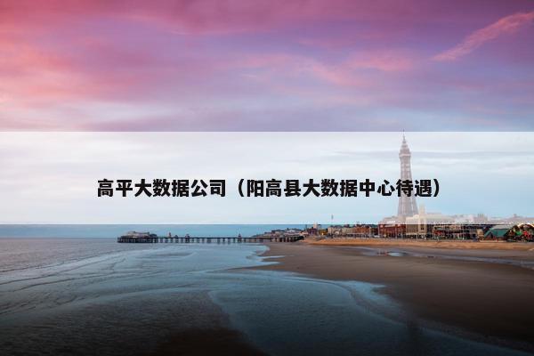 高平大数据公司（阳高县大数据中心待遇）
