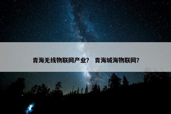 青海无线物联网产业？ 青海城海物联网？