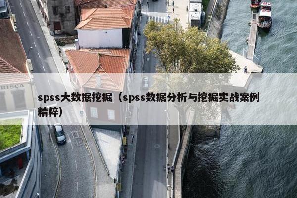 spss大数据挖掘（spss数据分析与挖掘实战案例精粹）