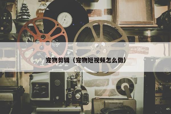 宠物剪辑（宠物短视频怎么做）