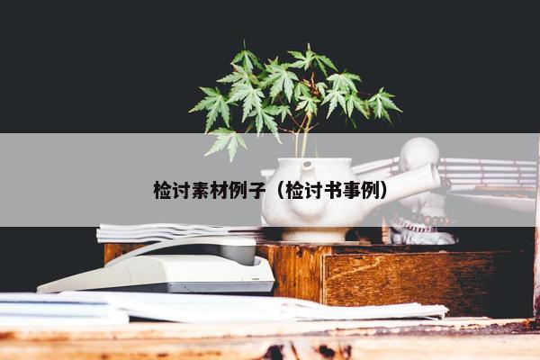 检讨素材例子（检讨书事例）