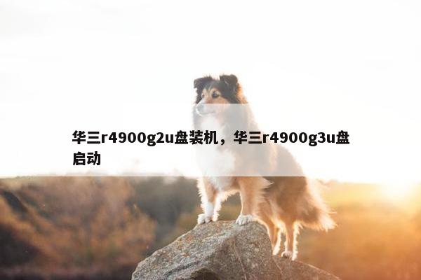 华三r4900g2u盘装机，华三r4900g3u盘启动