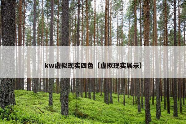 kw虚拟现实四色（虚拟现实展示）