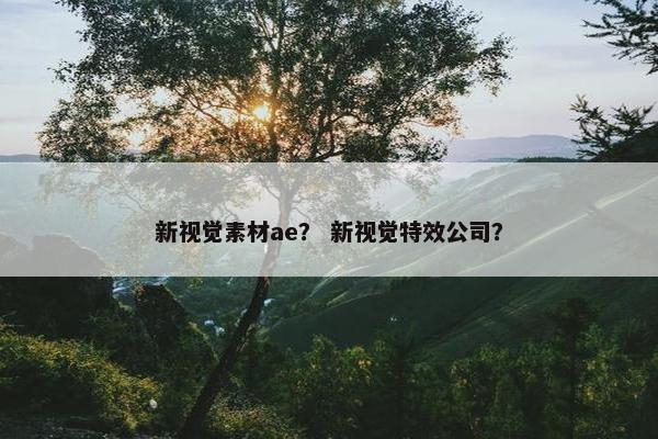 新视觉素材ae？ 新视觉特效公司？