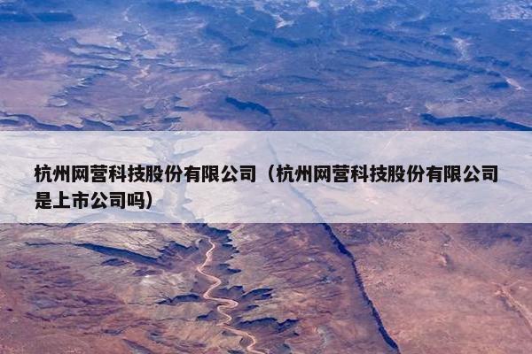 杭州网营科技股份有限公司(杭州网营科技股份有限公司是上市公司吗)
