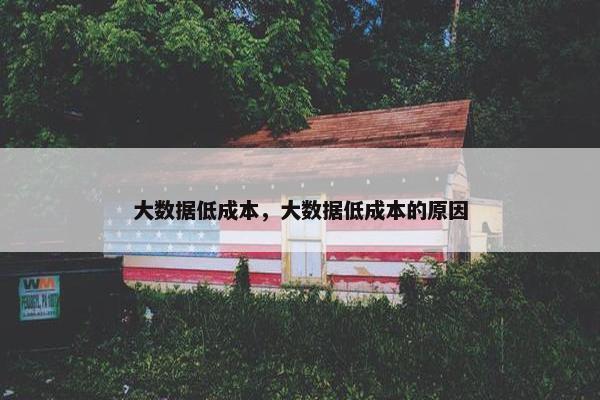 大数据低成本,大数据低成本的原因