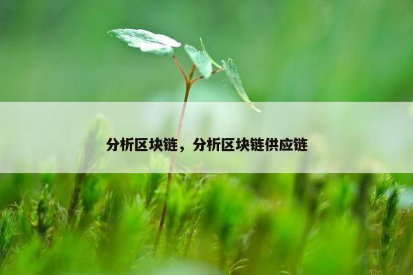 分析区块链，分析区块链供应链