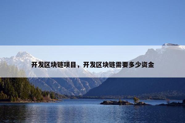 开发区块链项目，开发区块链需要多少资金