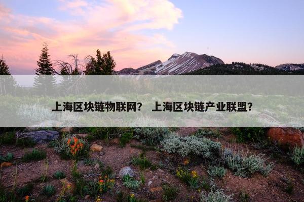 上海区块链物联网？ 上海区块链产业联盟？