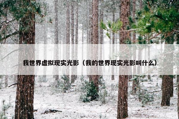 我世界虚拟现实光影（我的世界现实光影叫什么）