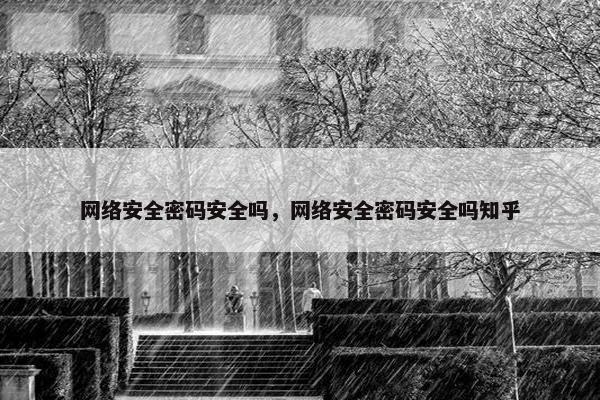 网络安全密码安全吗，网络安全密码安全吗知乎