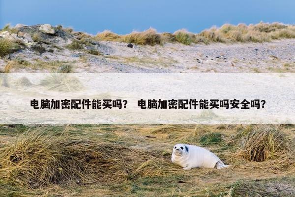 电脑加密配件能买吗？ 电脑加密配件能买吗安全吗？