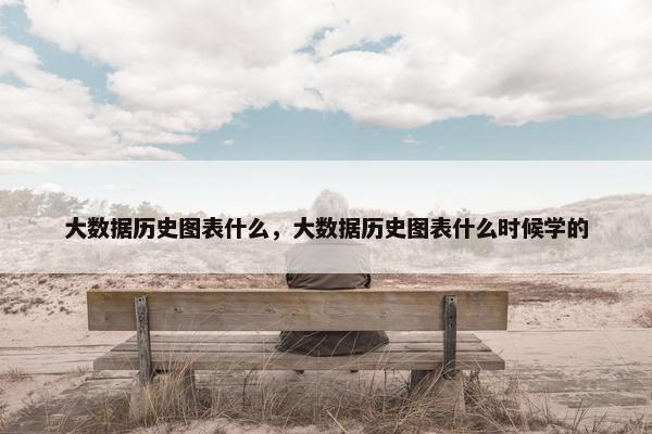 大数据历史图表什么，大数据历史图表什么时候学的