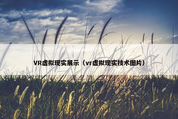 VR虚拟现实展示（vr虚拟现实技术图片）