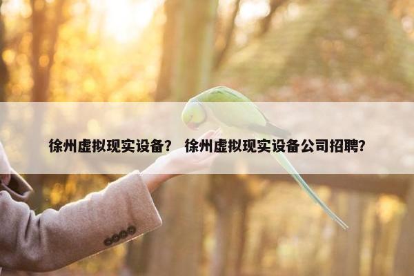 徐州虚拟现实设备？ 徐州虚拟现实设备公司招聘？