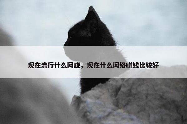 现在流行什么网赚，现在什么网络赚钱比较好