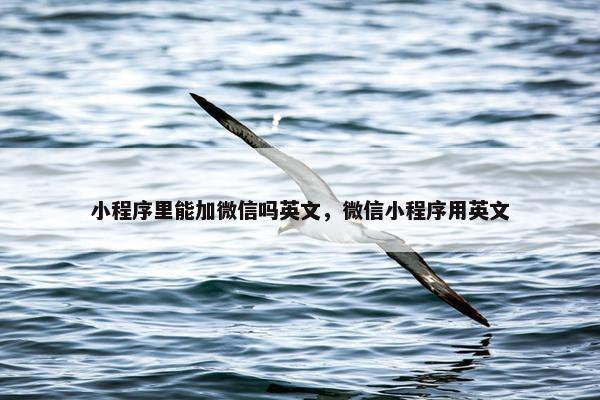 小程序里能加微信吗英文，微信小程序用英文
