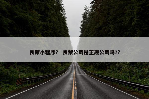 良策小程序？ 良策公司是正规公司吗?？