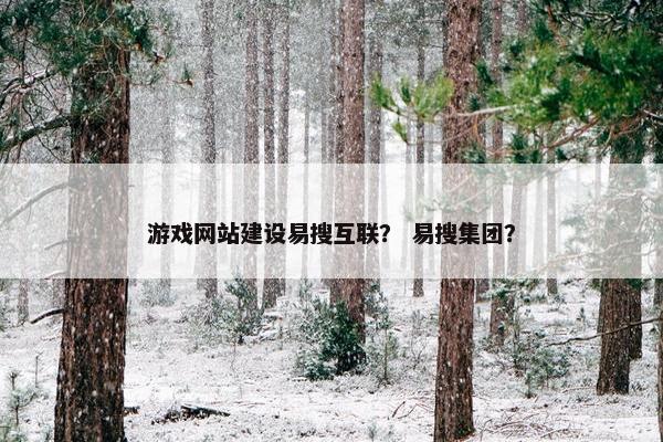 游戏网站建设易搜互联？ 易搜集团？