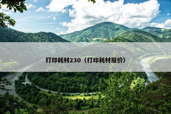 打印耗材230（打印耗材报价）