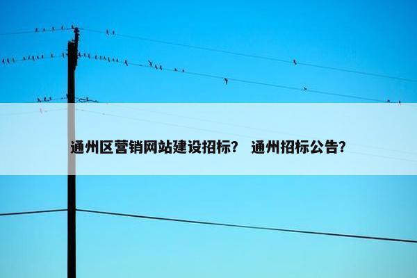 通州区营销网站建设招标？ 通州招标公告？