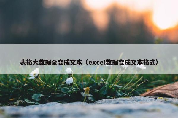 表格大数据全变成文本（excel数据变成文本格式）