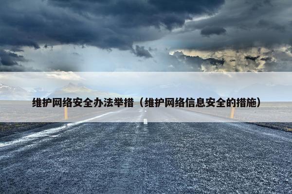 维护网络安全办法举措（维护网络信息安全的措施）