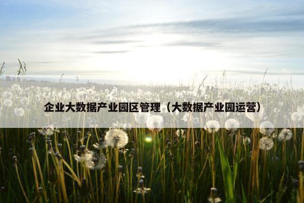 企业大数据产业园区管理（大数据产业园运营）