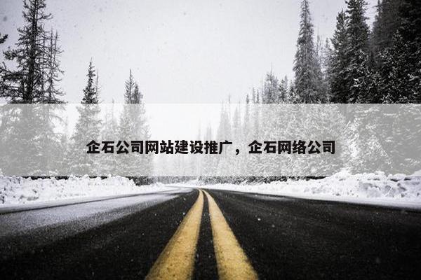 企石公司网站建设推广，企石网络公司