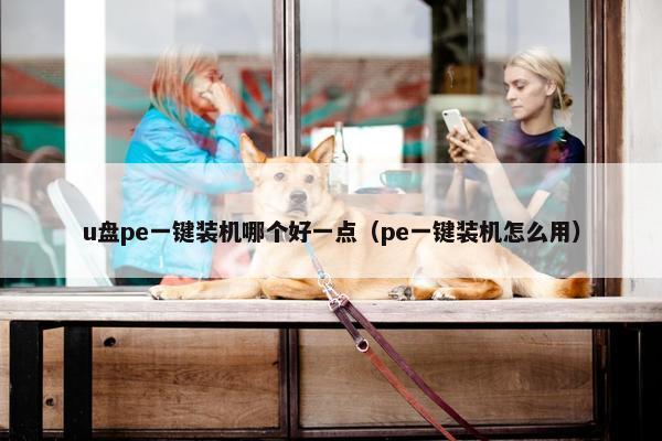 u盘pe一键装机哪个好一点（pe一键装机怎么用）
