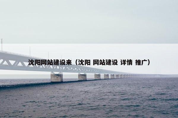 沈阳网站建设来（沈阳 网站建设 详情 推广）