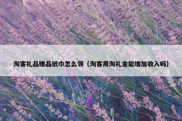 淘客礼品赠品纸巾怎么领（淘客用淘礼金能增加收入吗）