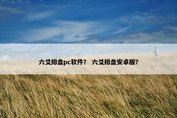 六爻排盘pc软件？ 六爻排盘安卓版？