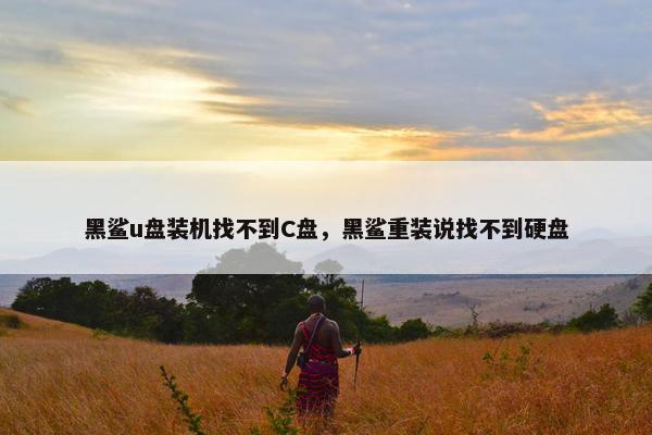 黑鲨u盘装机找不到C盘，黑鲨重装说找不到硬盘