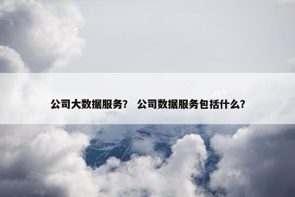 公司大数据服务？ 公司数据服务包括什么？