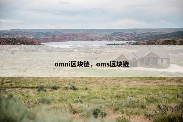 omni区块链，oms区块链
