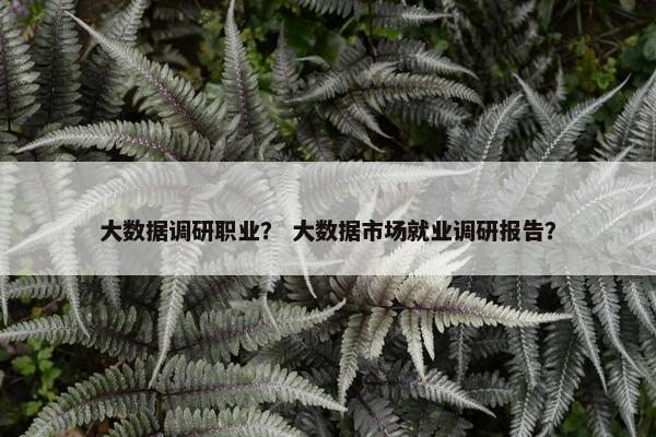 大数据调研职业？ 大数据市场就业调研报告？