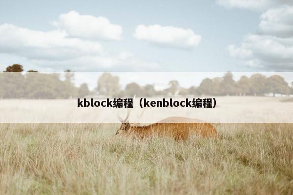 kblock编程（kenblock编程）