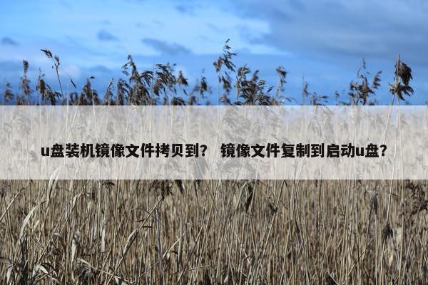 u盘装机镜像文件拷贝到？ 镜像文件复制到启动u盘？