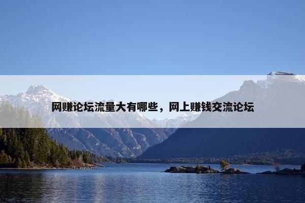 网赚论坛流量大有哪些，网上赚钱交流论坛