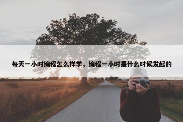 每天一小时编程怎么样学，编程一小时是什么时候发起的