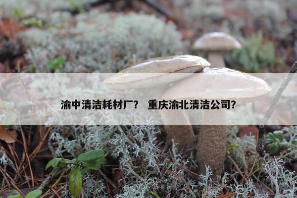 渝中清洁耗材厂？ 重庆渝北清洁公司？