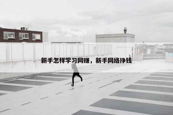 新手怎样学习网赚，新手网络挣钱